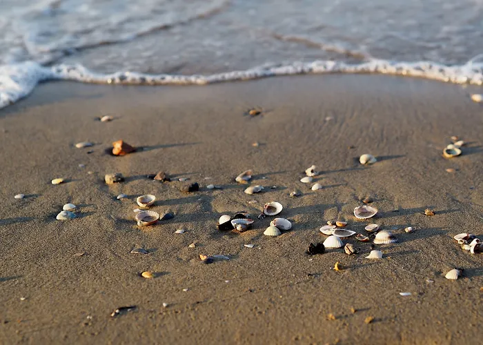 Bright Flat With A Wide Terrace-beahost アパート